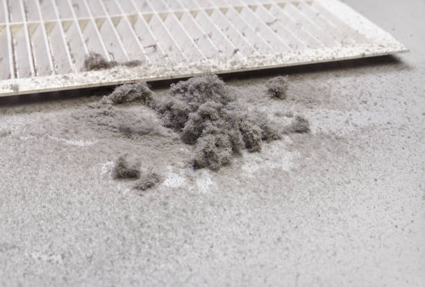 Affordable HVAC Duct Cleaning in MI