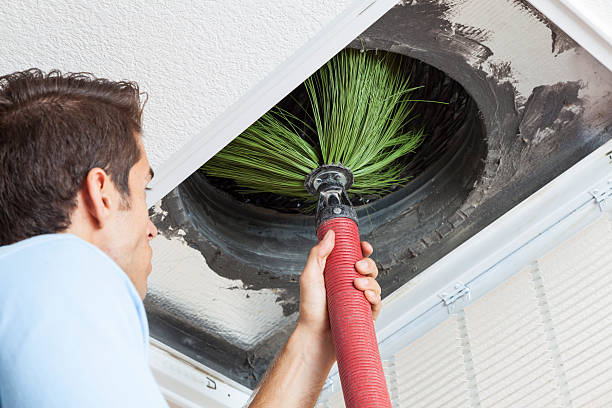 Best Ductwork Cleaning Services  in Pinckney, MI