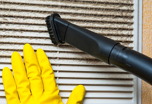 Best Professional Duct Cleaning Services  in Pinckney, MI