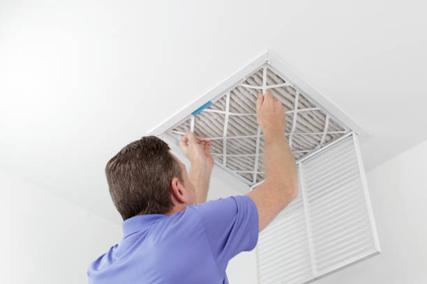 Best Affordable HVAC Duct Cleaning  in Pinckney, MI